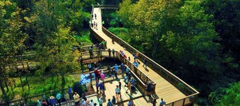 Charming Gem in Historic West Hillsborough 1366