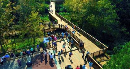 Charming Gem in Historic West Hillsborough 1366