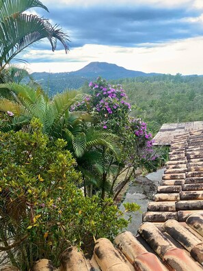 Deluxe Suite, Balcony, Mountain View | Individually decorated, iron/ironing board, free WiFi