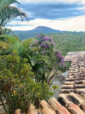 Deluxe Suite, Balcony, Mountain View | Individually decorated, iron/ironing board, free WiFi