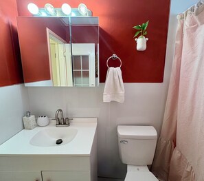 Serviettes fournies, savon, papier toilette