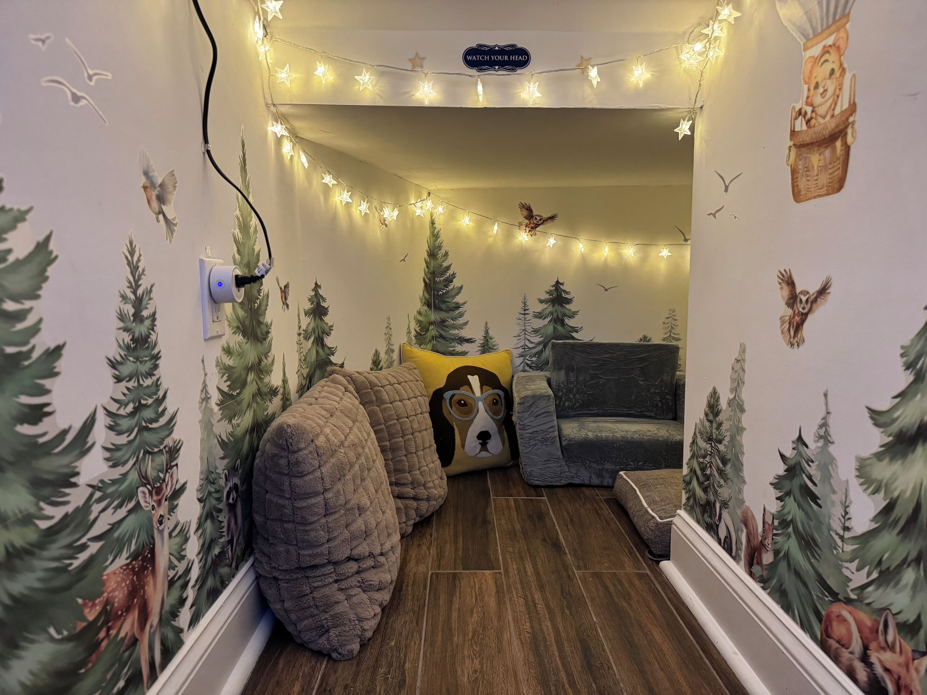 Smart TV, chimenea, videojuegos y libros 