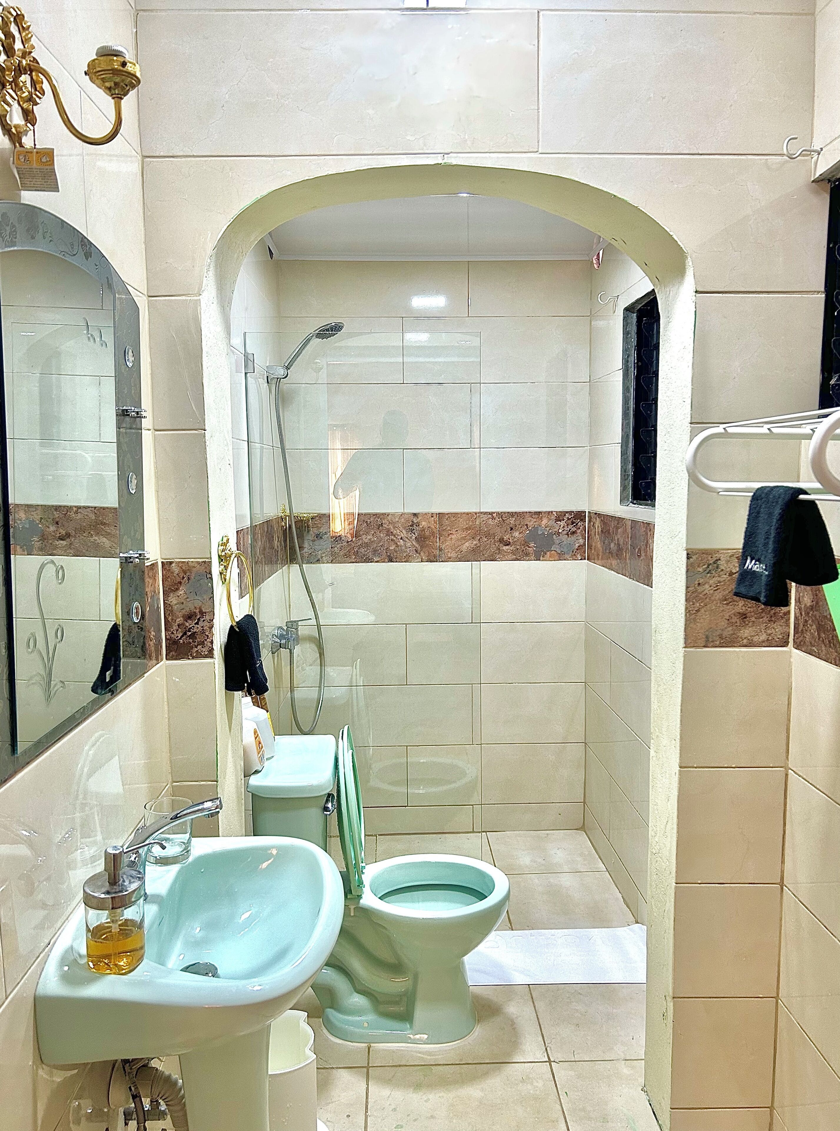 Towels, soap, shampoo, toilet paper