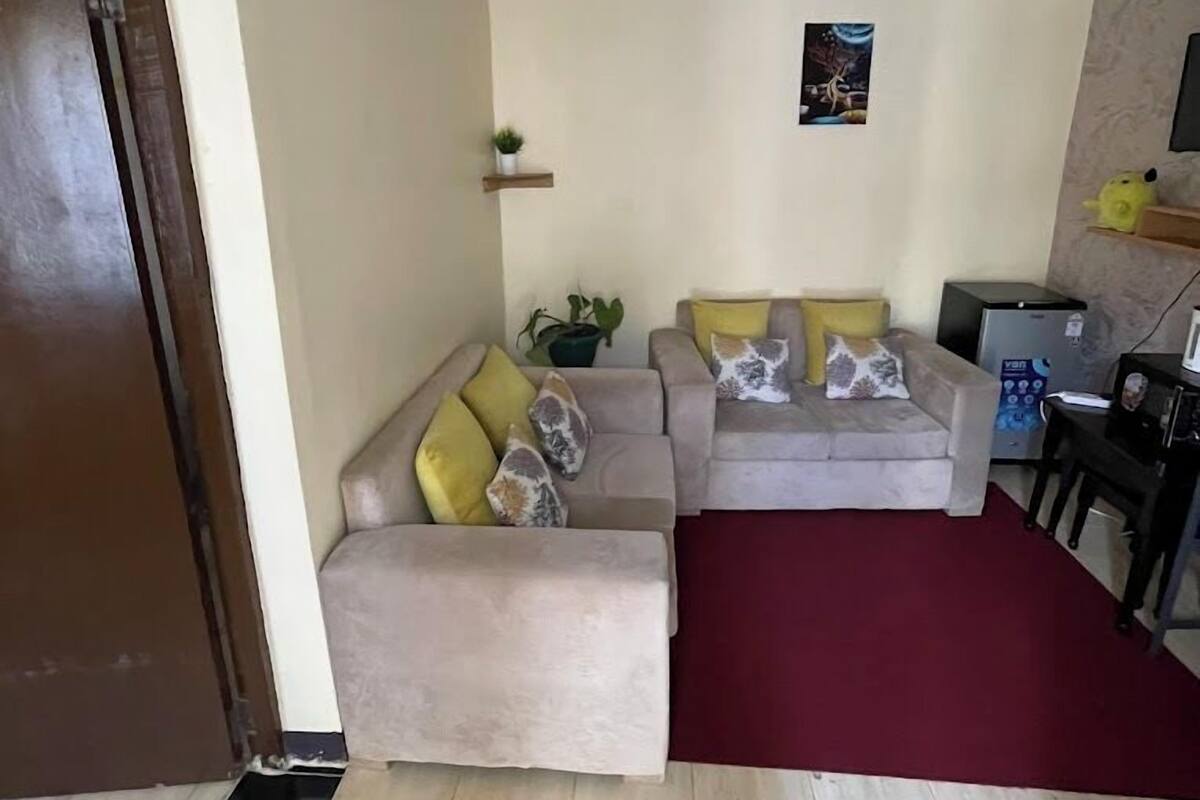 A living room with two sofas, a red rug, a small plant, and a TV on the wall.