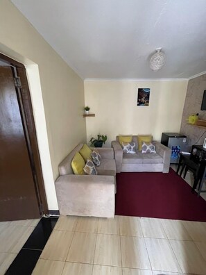 A living room with two sofas, a red rug, a small plant, and a TV on the wall.