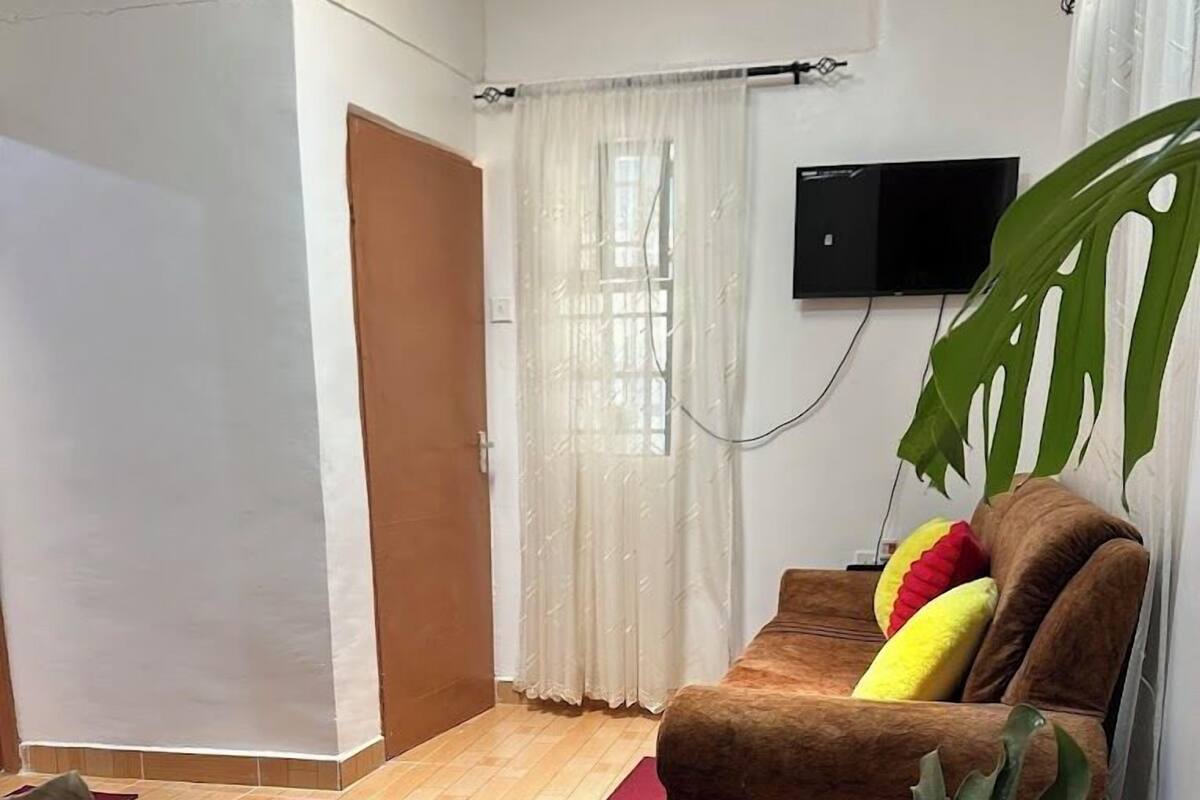 A living room with a brown sofa, a red rug, and a large green plant.