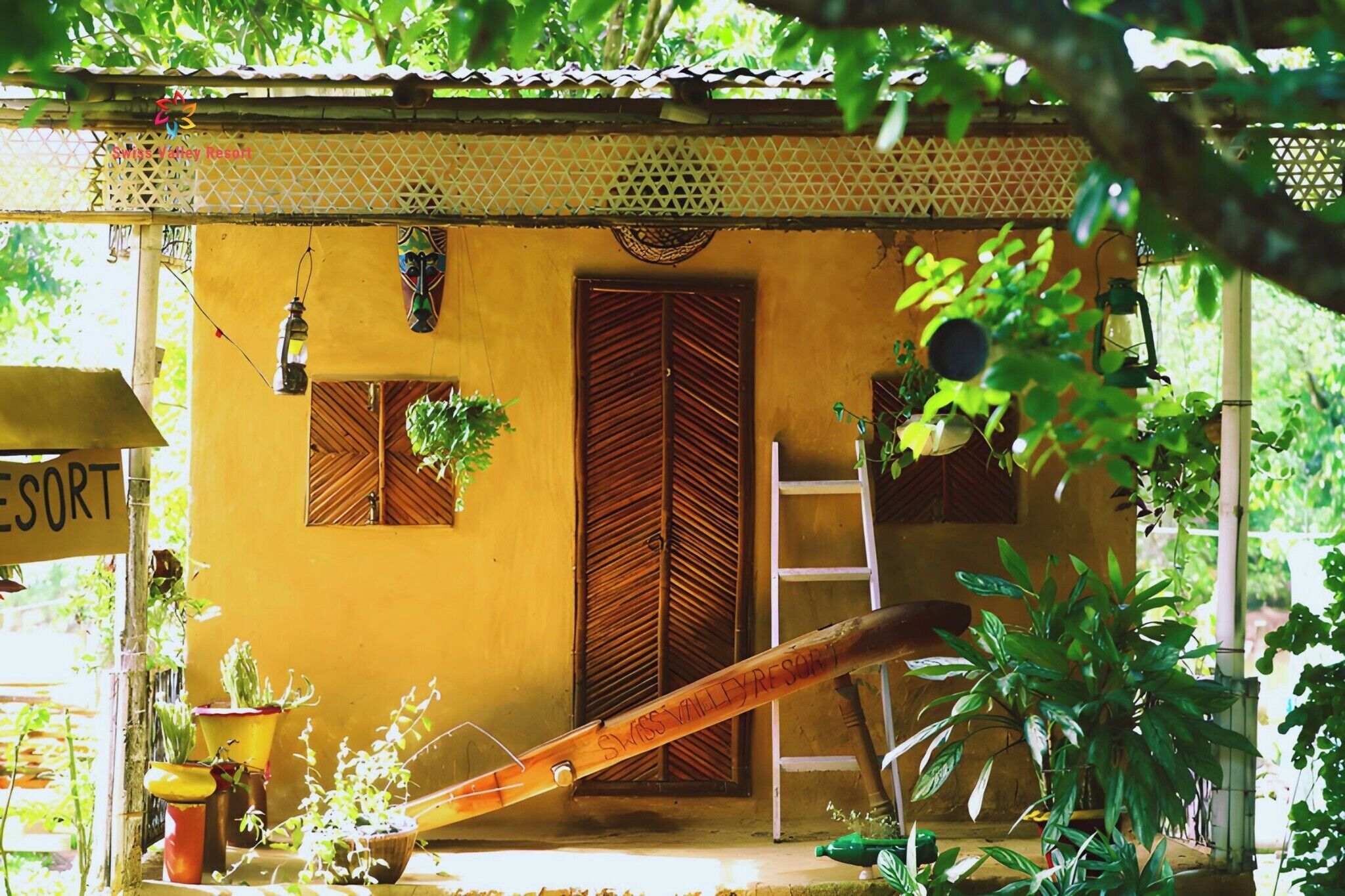 A yellow building with a wooden door, a ladder, and potted plants.
