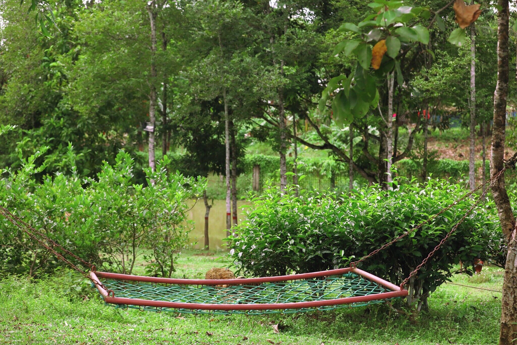 Yksityiskohta sisätiloista