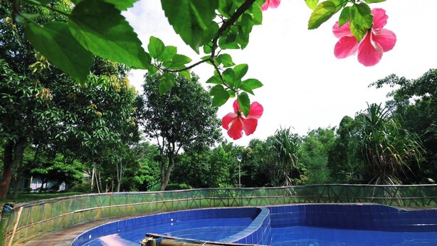 A large, empty swimming pool surrounded by lush greenery and trees. - Swiss Valley Resort (Kamalganj)
