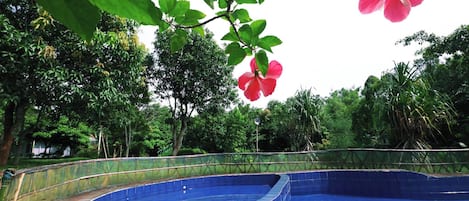 Piscine extérieure