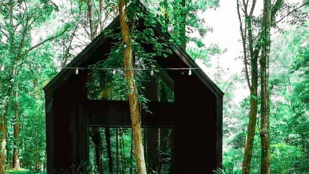 A rustic cabin with a large window, surrounded by a forest. There are two Adirondack chairs and a fire pit in front. - Romantic Cabin | Hot Tub, Soaking Tubs & Fire Pit (Bullard)