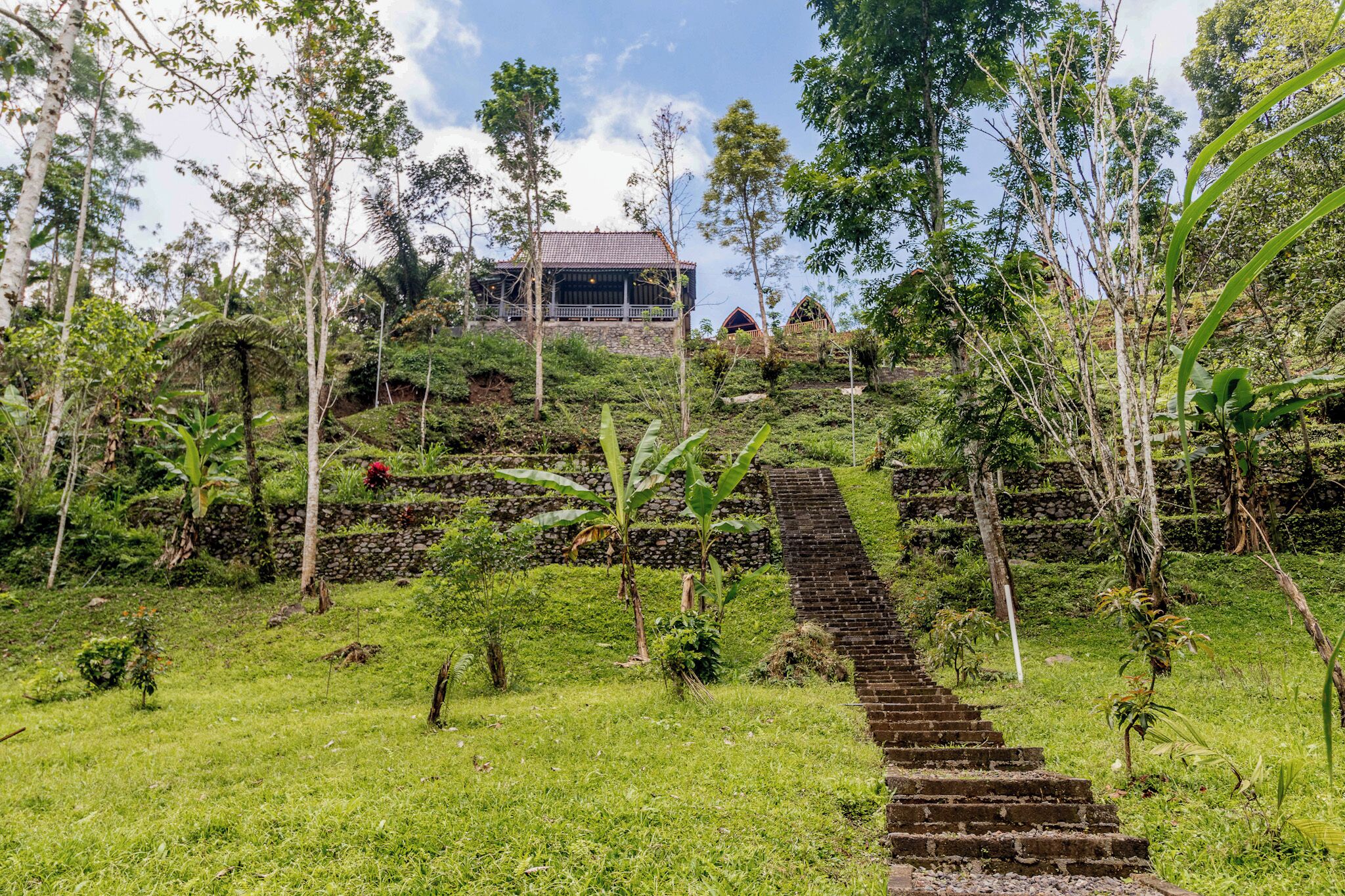 Jardim