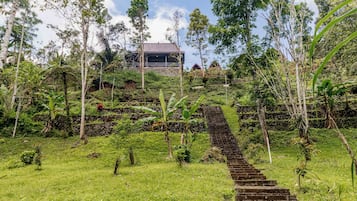 Jardim