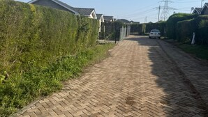 A paved driveway leading to a residential area with houses and a car parked on the side.