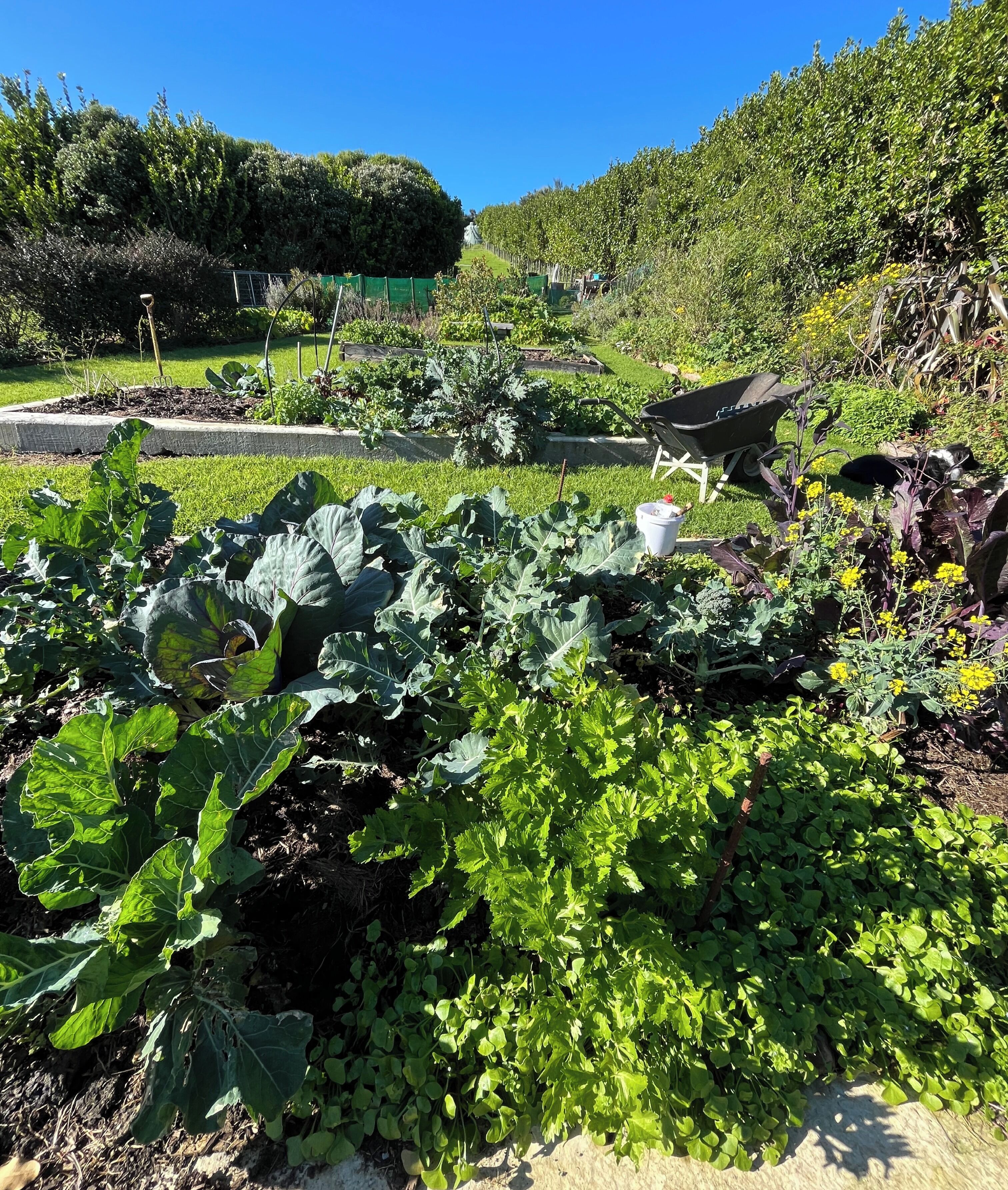 Áreas de la propiedad
