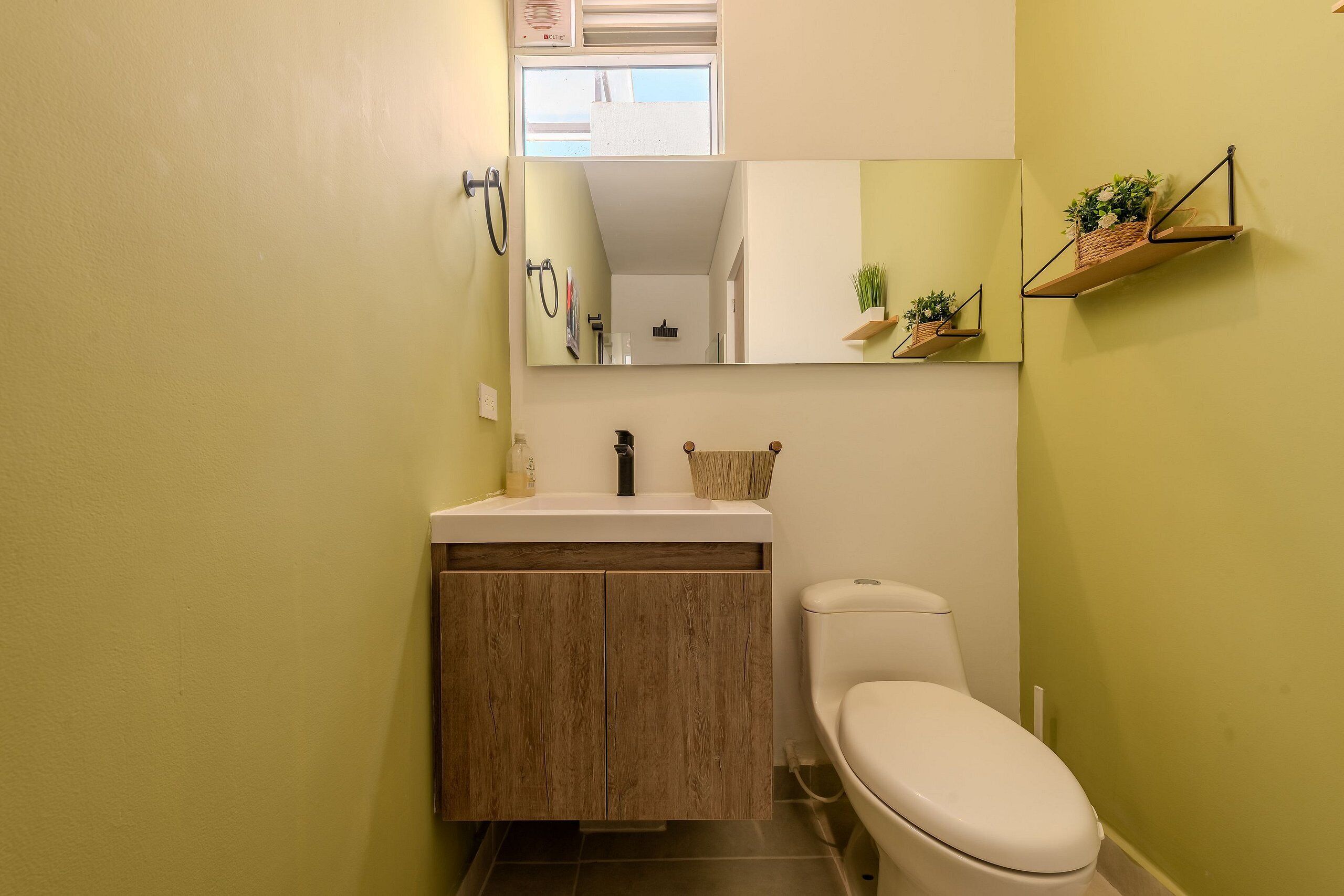 A compact bathroom with a toilet, a sink with a mirror above it, and a small shelf with plants.