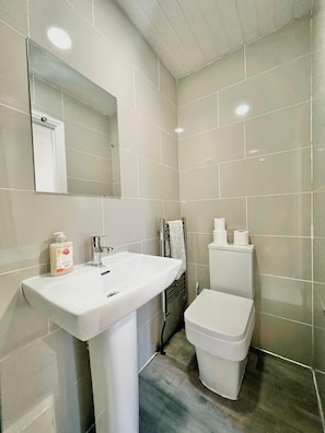 Hair dryer, towels, soap, toilet paper