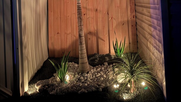 A well-lit garden area with a wooden fence, a palm tree, and small plants. - Bienes House private property in Brandon (Brandon)