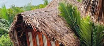 JungleBari Mangrove Resort