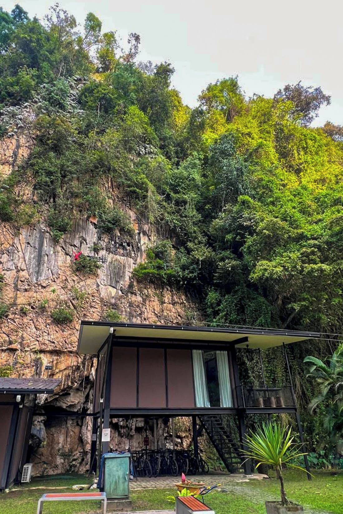 A modern building with a flat roof and large windows, surrounded by lush greenery and a rocky cliff.