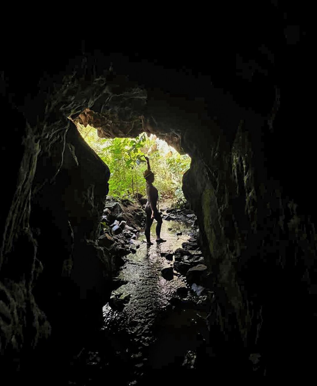 La entrada de una cueva con una persona en su interior.