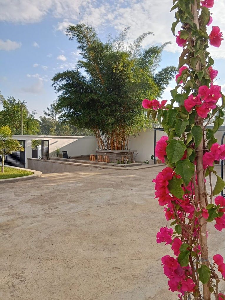 Un'area pavimentata con un grande albero e una pianta fiorita rosa sullo sfondo.