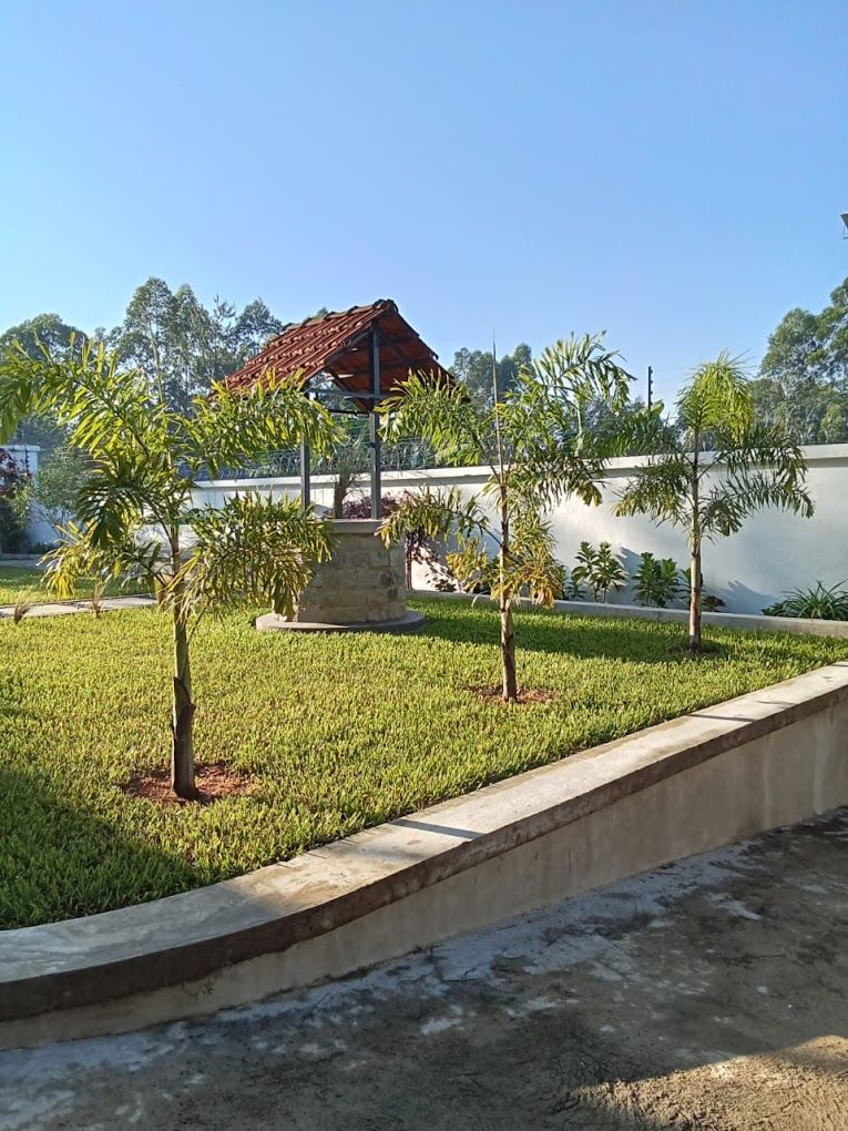 A park with a gazebo, small trees, and a grassy area.
