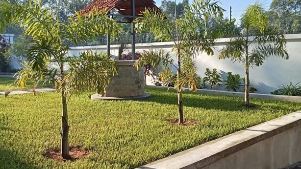Un parc avec un kiosque, de petits arbres et une pelouse.