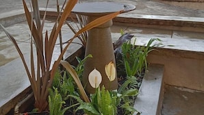 Een aangelegde tuin met verschillende planten, waaronder grote bladeren en varens, geplaatst in een betonnen plantenbak.