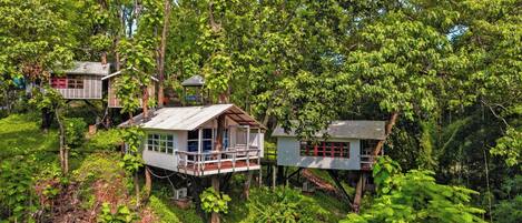 Un conjunto de casas en los árboles en un bosque frondoso, cada una con una pequeña terraza y estructura de madera sencilla.