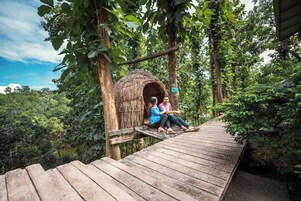 Detalle del interior