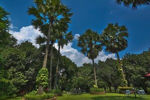 A lush garden with tall palm trees and a clear blue sky.