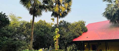 A building with a red roof surrounded by lush greenery and tall palm trees.