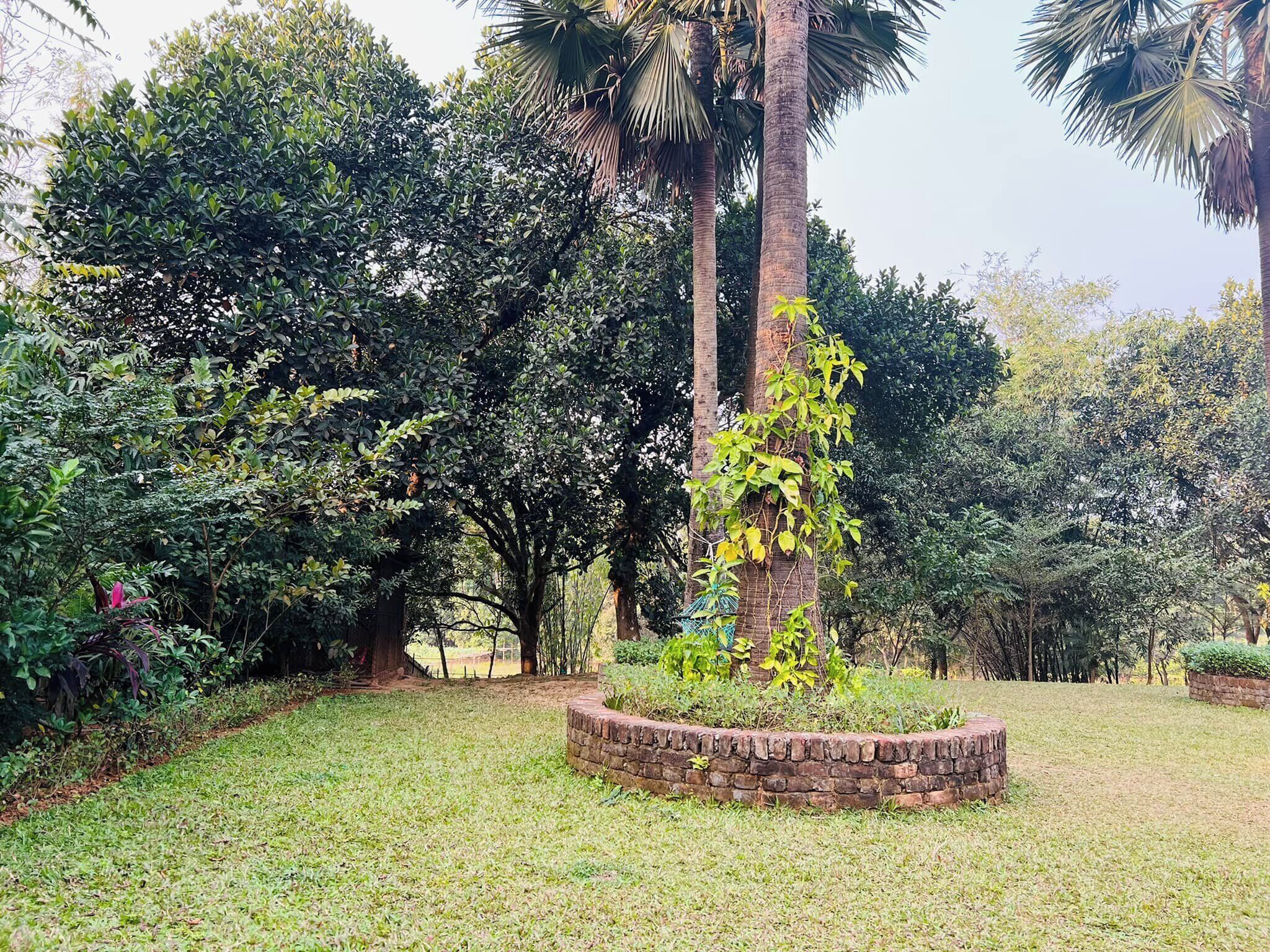 A garden with a central brick planter, surrounded by grass and various trees.