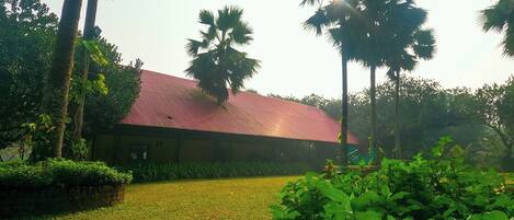 A building with a red roof surrounded by lush greenery and palm trees.