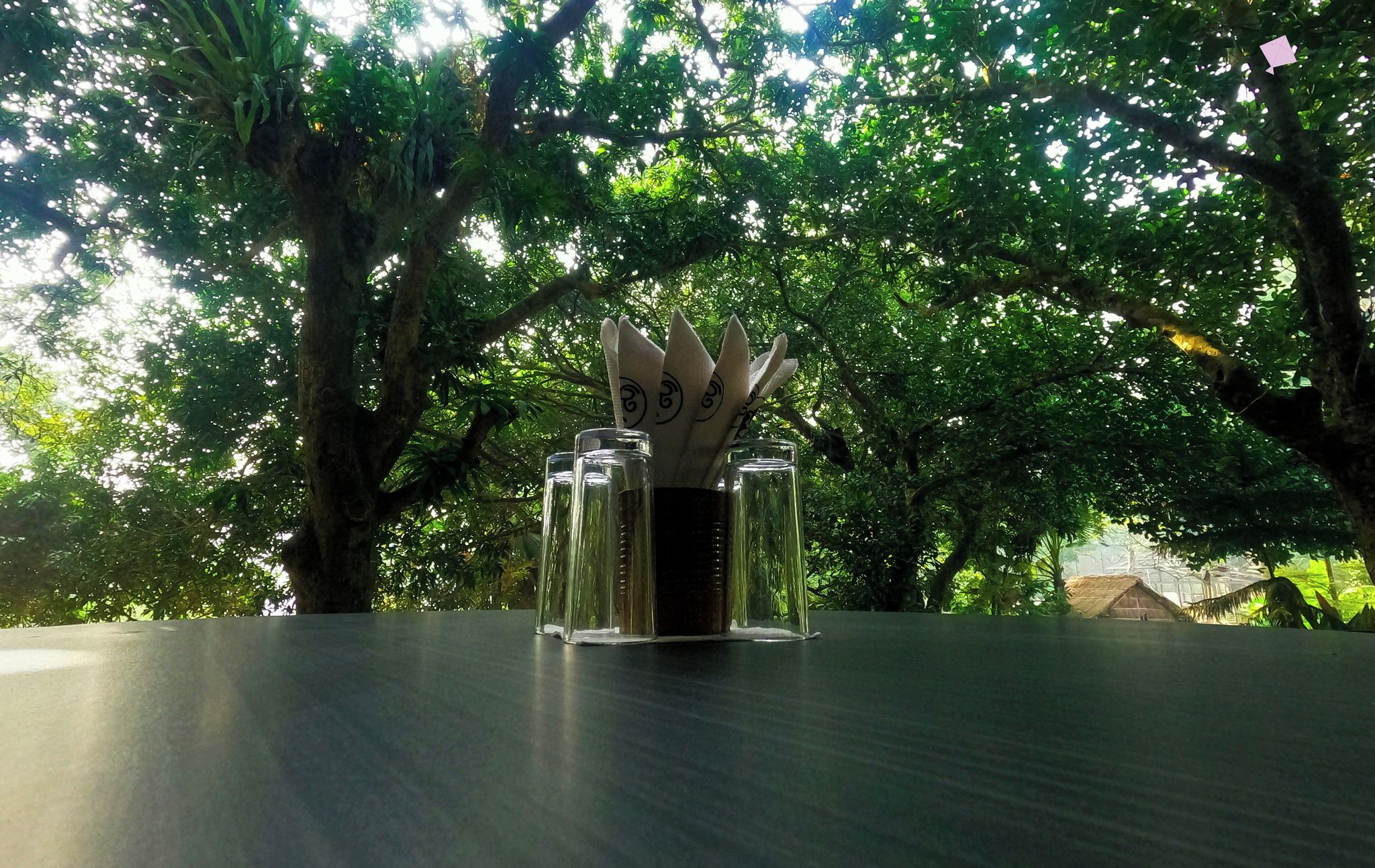 A table with a clear glass container holding pens, set against a backdrop of lush green trees.