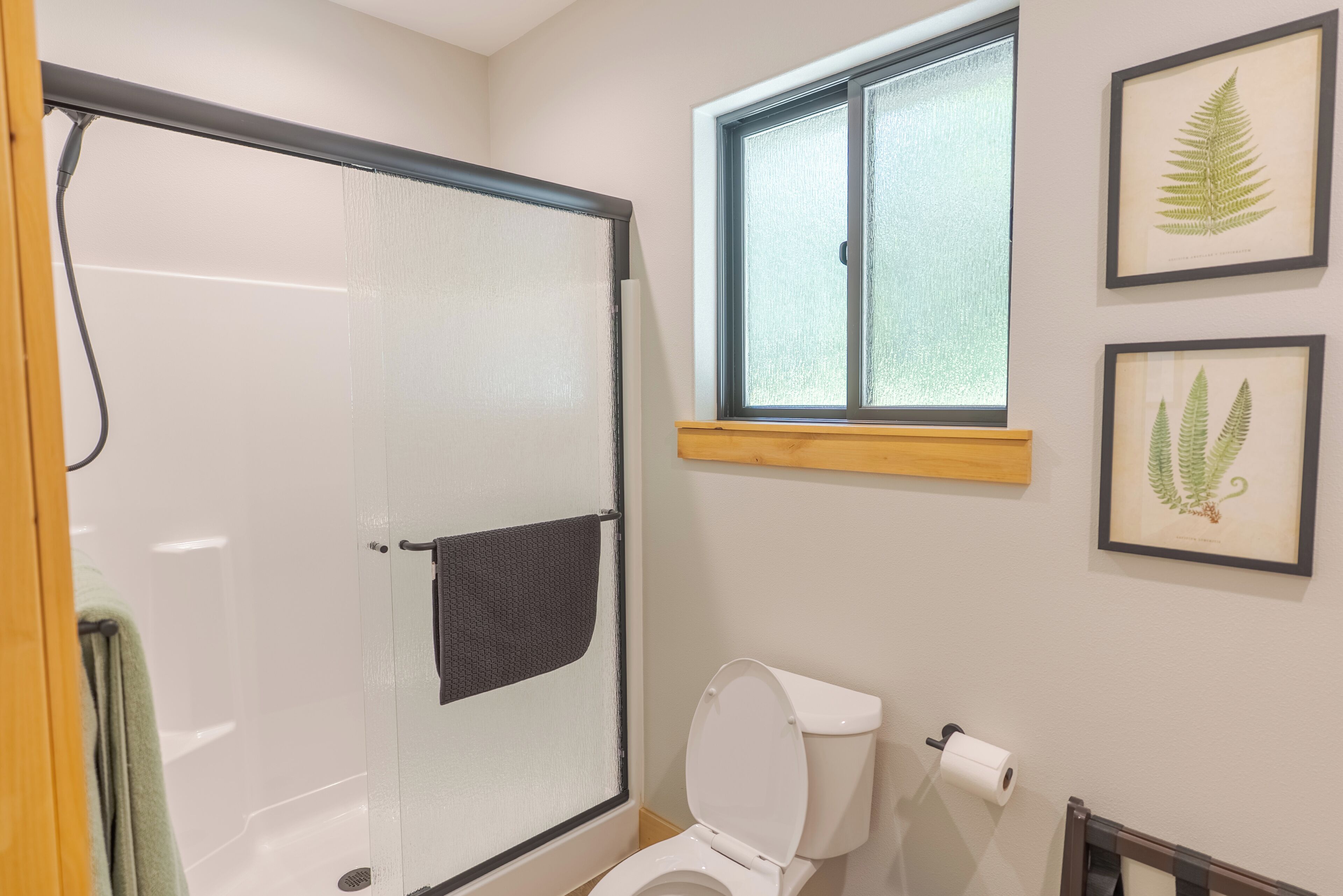 Shower, towels, toilet paper