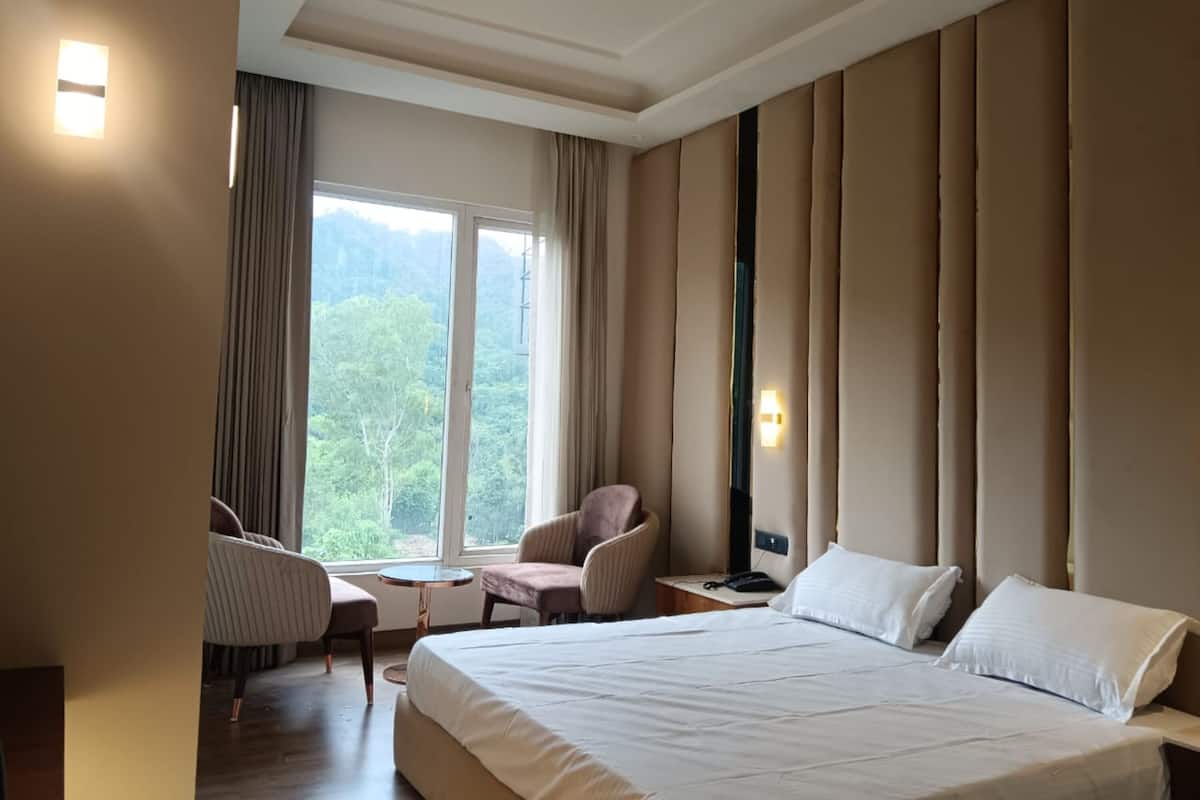 A hotel room with a large bed, a desk, two chairs, and a view of the outdoors.
