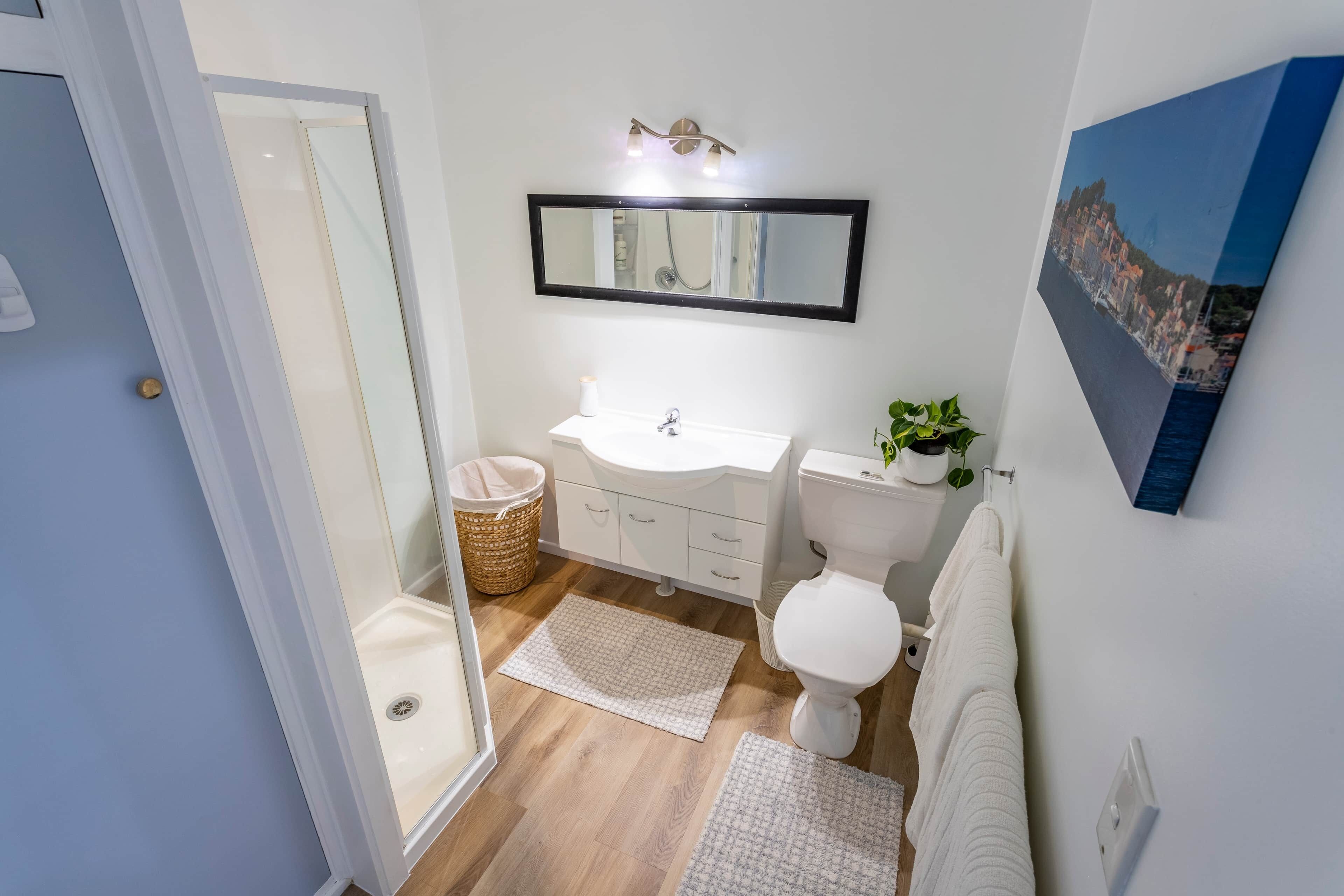 シャワー、ヘアドライヤー、タオル、石鹸