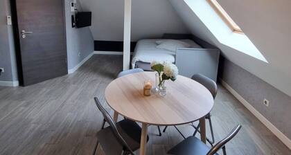 Studio de la demi lune, near europapark, kempferhof golf course, strasbourg