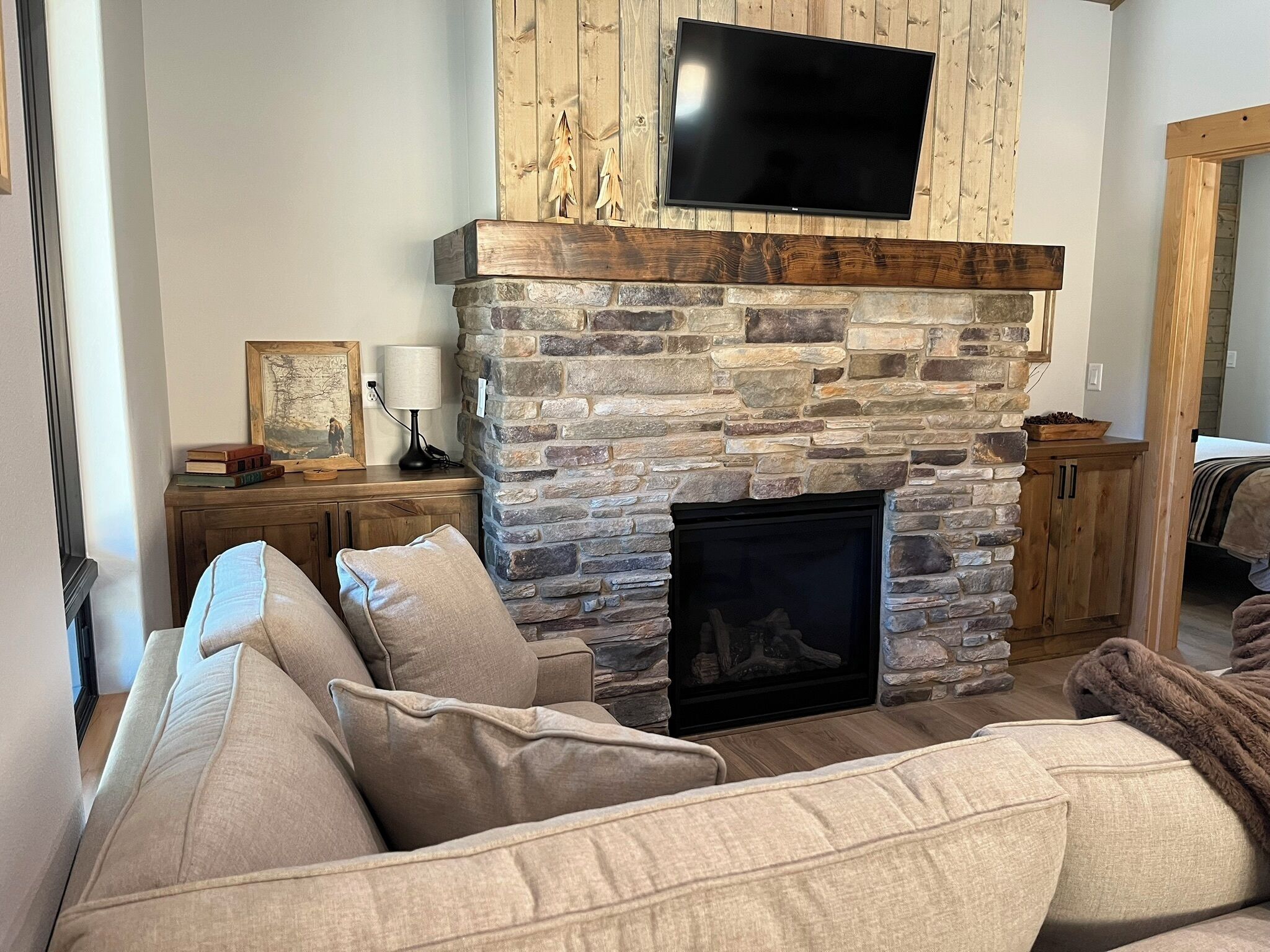 Smart TV, fireplace, books