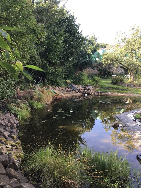 Jardines del alojamiento