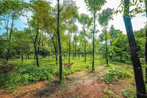 Exterior - Jaflong Green Resort (Gowainghat)