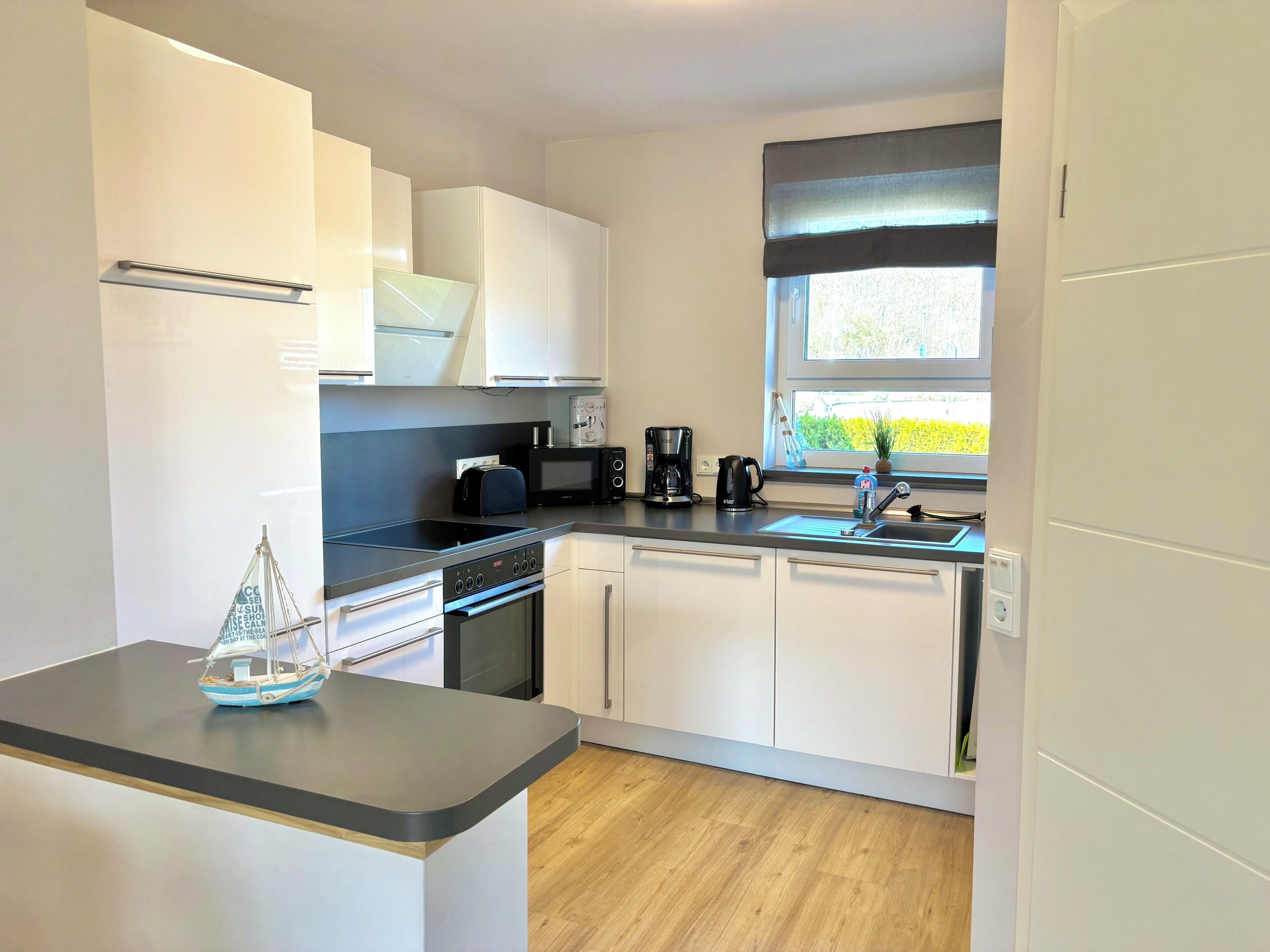 Kühlschrank, Mikrowelle, Herdplatte, Geschirrspüler