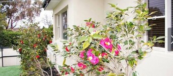 Cozy Budget Home in Balwyn - Quiet & Close to Melbourne CBD