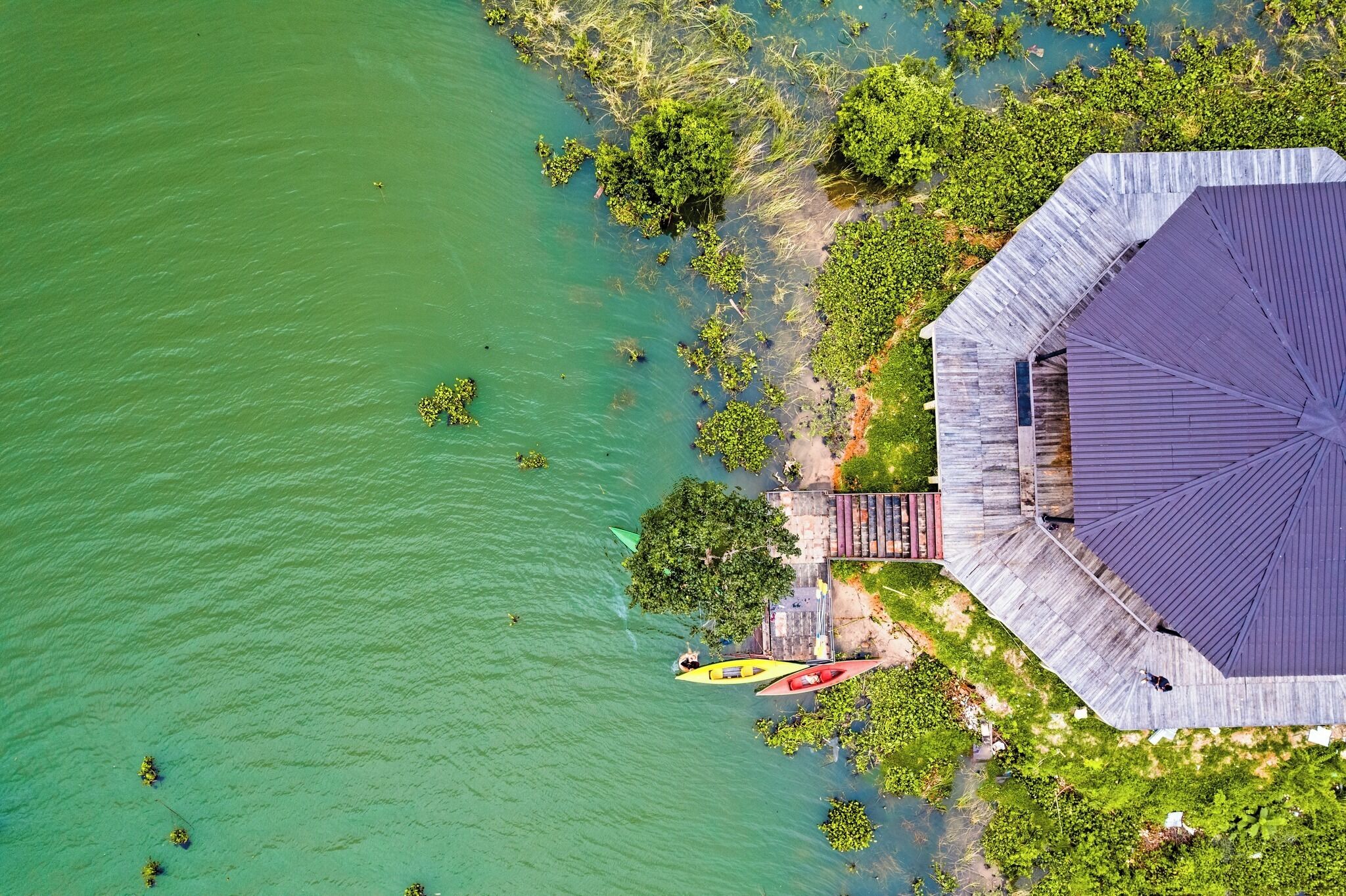 An aerial view of a coastal property with a large building, a dock with kayaks, and lush greenery.