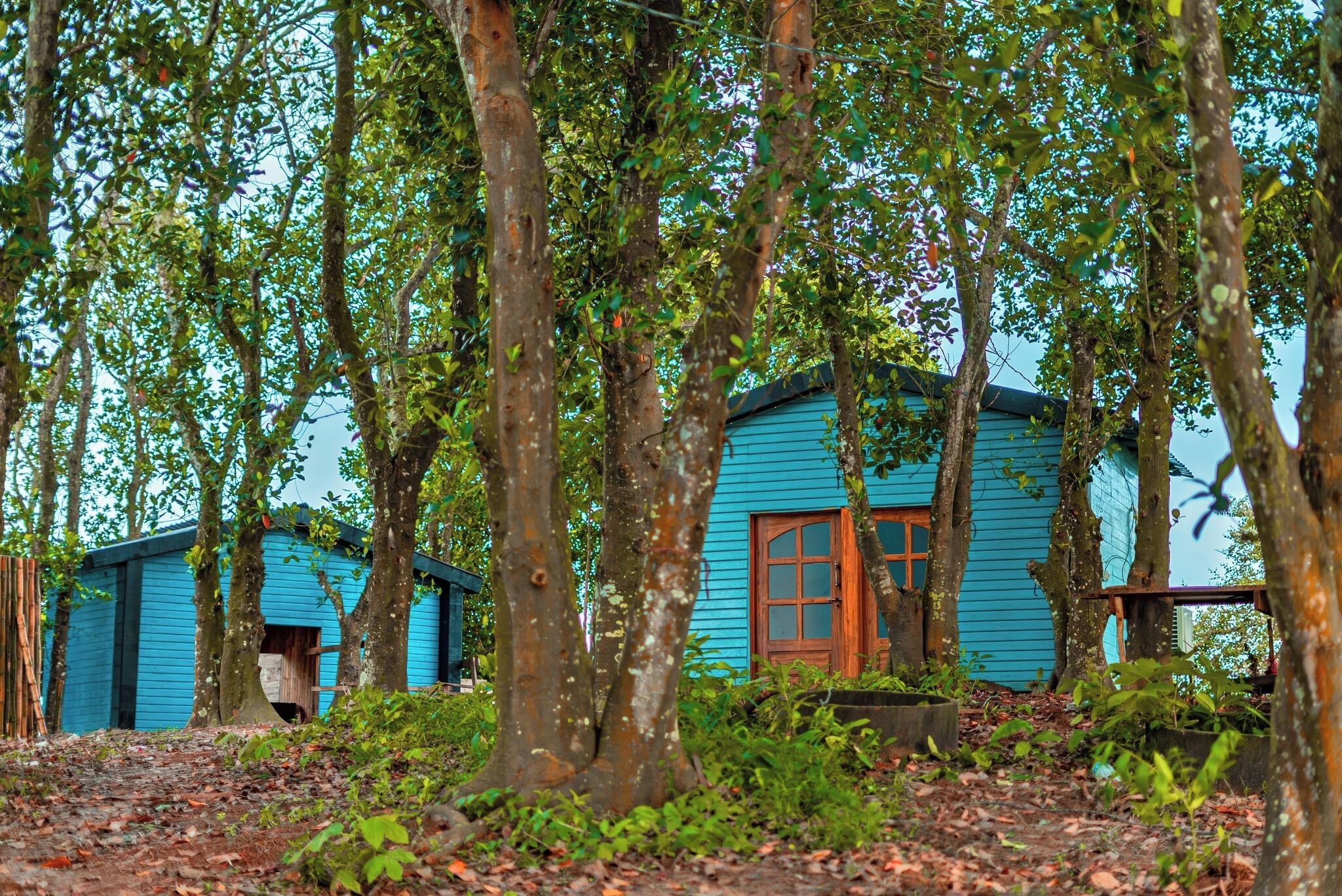 Fachada del alojamiento