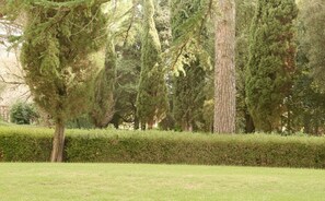 Un parc agrémenté d’une haie bien entretenue, de grands arbres et d’une pelouse.
