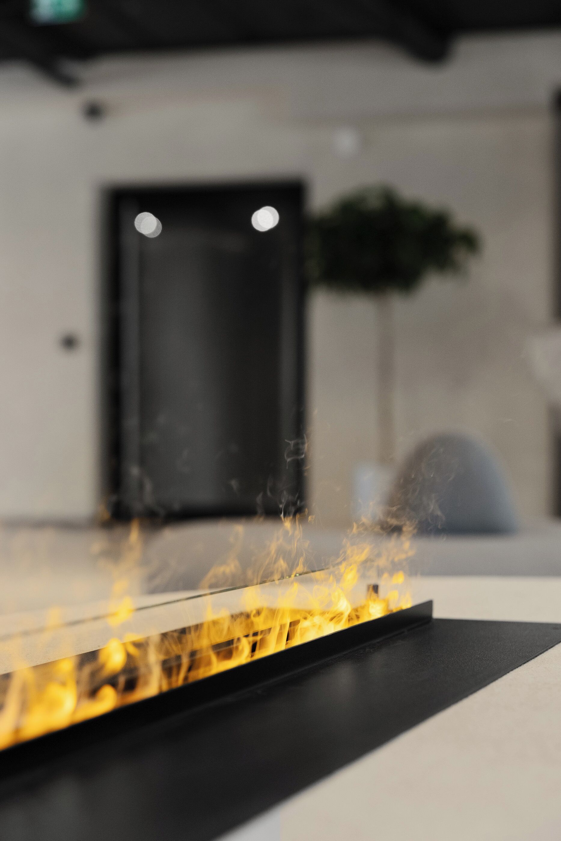 A modern indoor space with a fire feature, a door, and a plant.