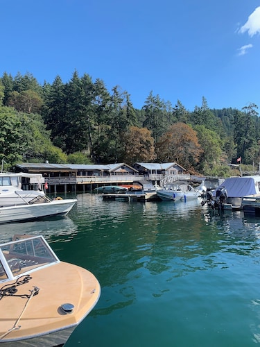 Oceanfront Views, Full Kitchen,  Wi-Fi ~ Where the Forest Meets the Ocean